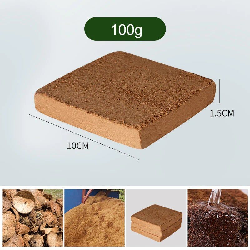 Last Day Sale 49% OFF✨ - Organic Coconut Coir for Plants(Collected from Pacific island countries)