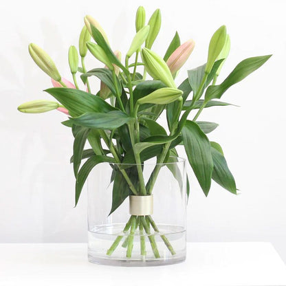 Spiral Ikebana Stem Holder
